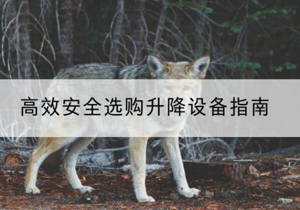 云霄升降货梯厂家推荐-*安全选购升降设备指南