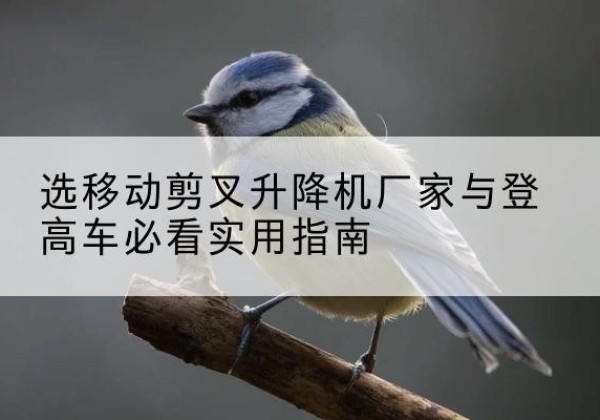云霄电动升降机厂家-选移动剪叉升降机厂家与登高车必看实用指南