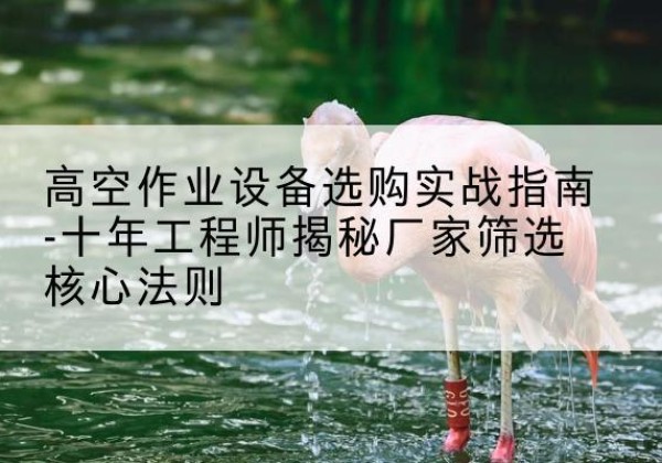云霄剪叉式升降机厂家-高空作业设备选购实战指南-十年工程师揭秘厂家筛选核心法则